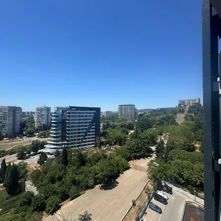 Symphony Blue * 바르나