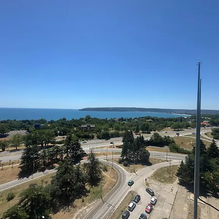 Symphony Blue * 바르나