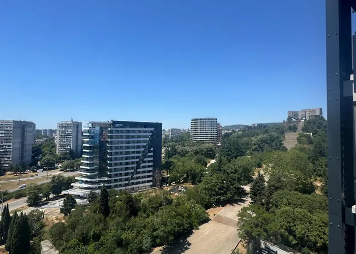 Symphony Blue * 바르나